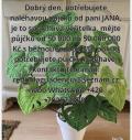 Obrzek k inzertu  Dobr den, jsem soukrom vitel a nabzm pjku 