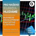 Obrzek k inzertu Hledme Business Development Executive