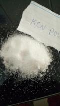 Obrzek k inzertu Cyanide and nembutal for a quick painless death(Euthanasia)