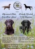 Obrzek k inzertu Prodej tat plemeno flatcoated retriever