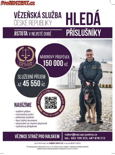 Obrzek k inzertu: Strn, Dozorce
