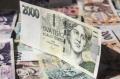 Obrzek k inzertu Nebankovn finann pjka