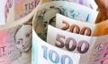 Obrzek k inzertu Rychl a rychl pjka a investice
