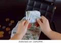 Obrzek k inzertu Rychl financovn pjek