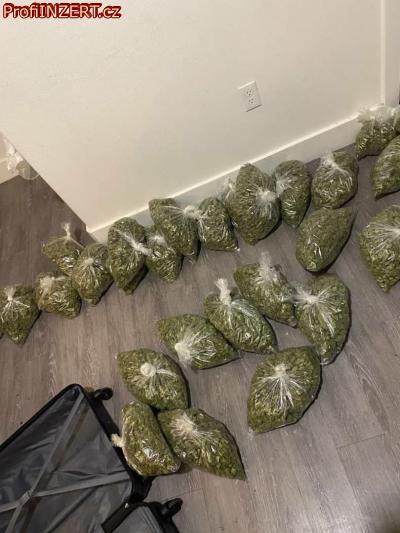 Obrzek k inzertu: Rozvozca koly❄️Mdma🧧Shi 🍀Extaz