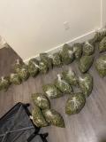 Obrzek k inzertu Rozvozca koly❄️Mdma🧧Shi 🍀Extaz