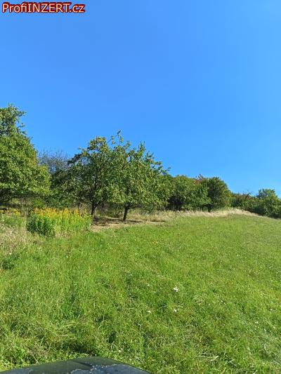 Obrázek k inzerátu: Prodám ovocný sad v Koryčanech Obrázek k inzerátu: Prodám ovocný sad v Koryčanech