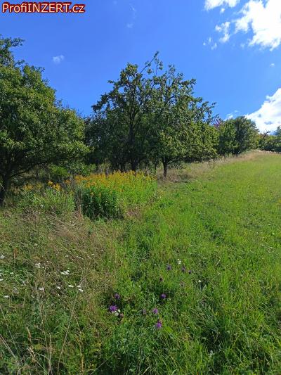 Obrázek k inzerátu: Prodám ovocný sad v Koryčanech Obrázek k inzerátu: Prodám ovocný sad v Koryčanech