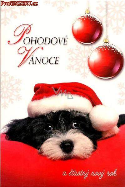 Obrázek k inzerátu: Poskytuji půjčky seriózním lidem. Obrázek k inzerátu: Poskytuji půjčky seriózním lidem.