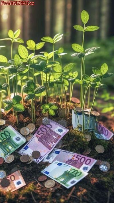 Obrázek k inzerátu: Potřebujete půjčku ještě dnes? Žádné poplatky předem Obrázek k inzerátu: Potřebujete půjčku ještě dnes? Žádné poplatky předem