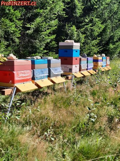 Obr�zek k inzer�tu: Nab�dka med� z jiho�esk�ch les� i v Praze