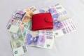 Obr�zek k inzer�tu Okam�it� nab�dka financov�n� a investic 