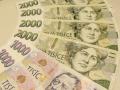 Obr�zek k inzer�tu RYCHL� A SPOLEHLIV� P�J�KA, ZARU�EN� ZA M�N� NE� 24 HODIN