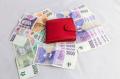 Obr�zek k inzer�tu Efektivn� a spolehliv� p�j�ka